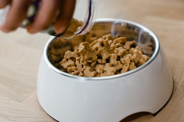 Revolutionize your pet's mealtime with a smart dog feeder